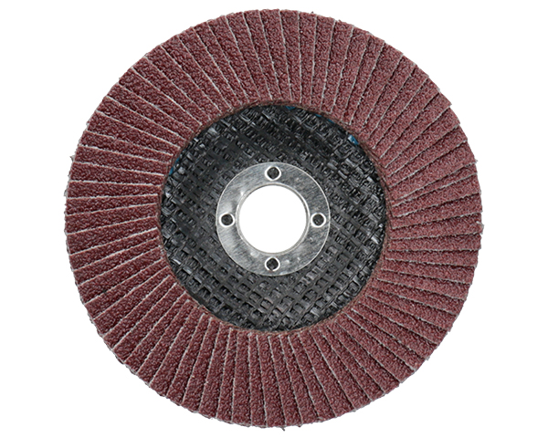Amplas Flap Disc